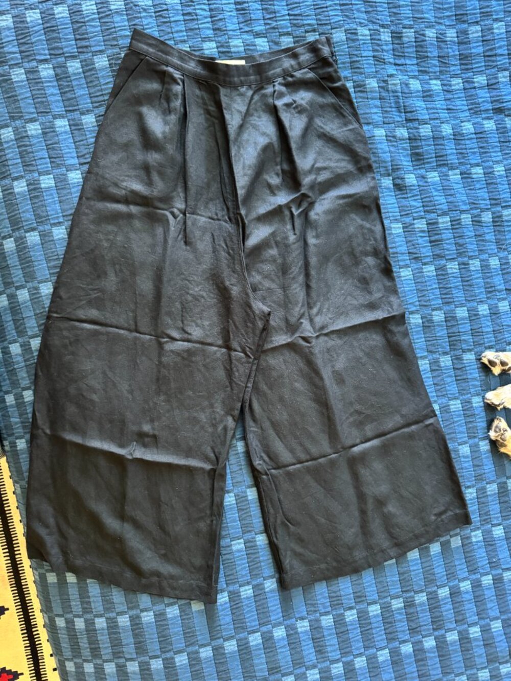 First Rite Wide-Leg Pleated Trouser | Size M